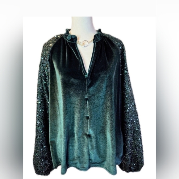 Velvet Green Blouse with Sequin Sleeves - Picture 5 of 5